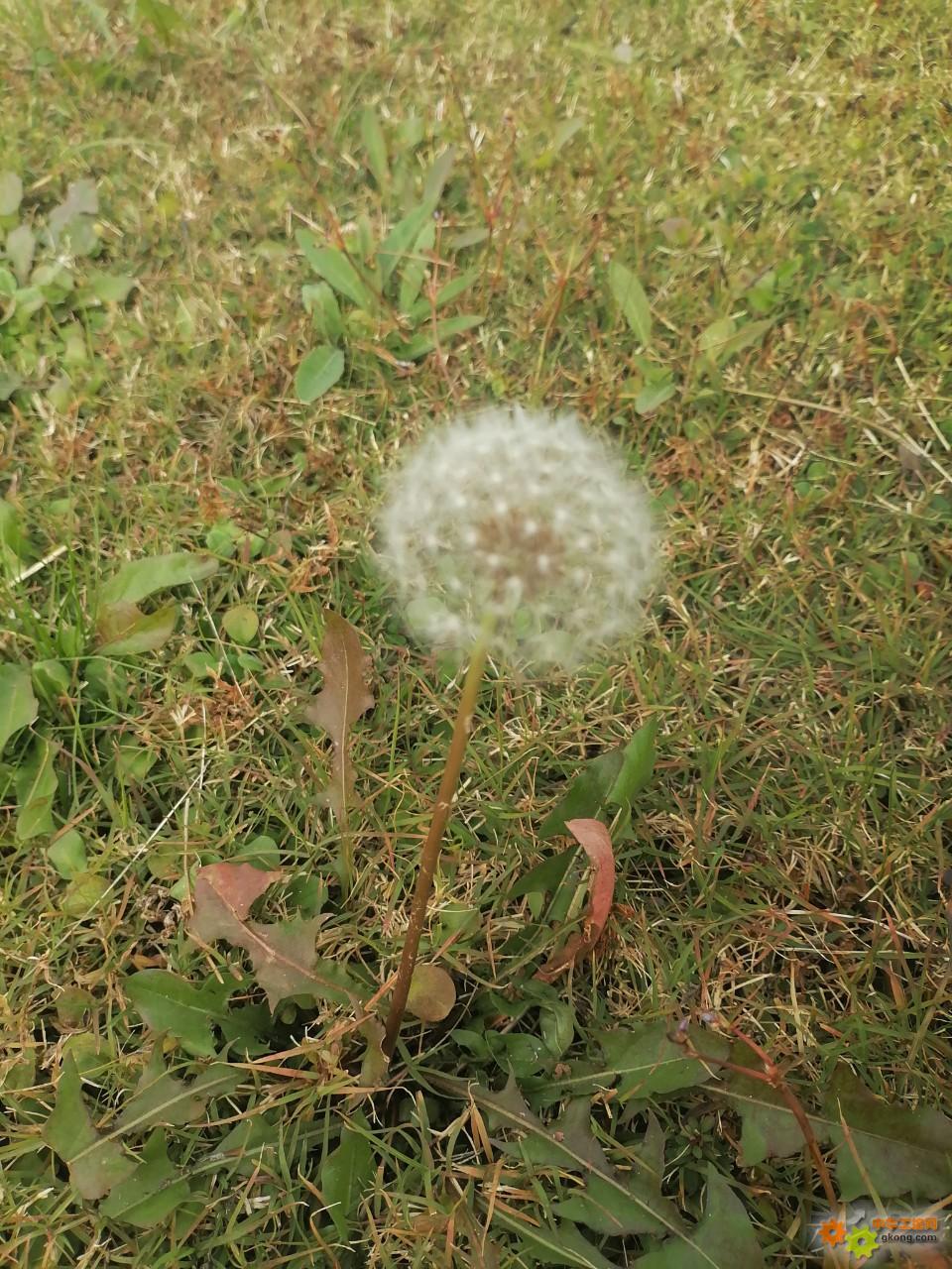 附件 IMG_20251107_100818.jpg