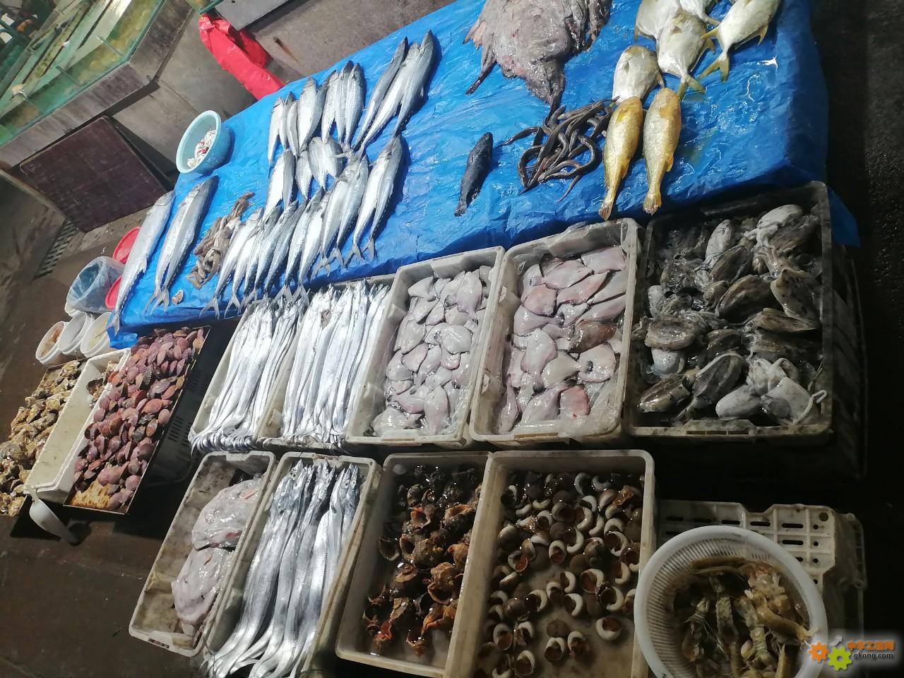 附件 IMG_20251214_134654.jpg