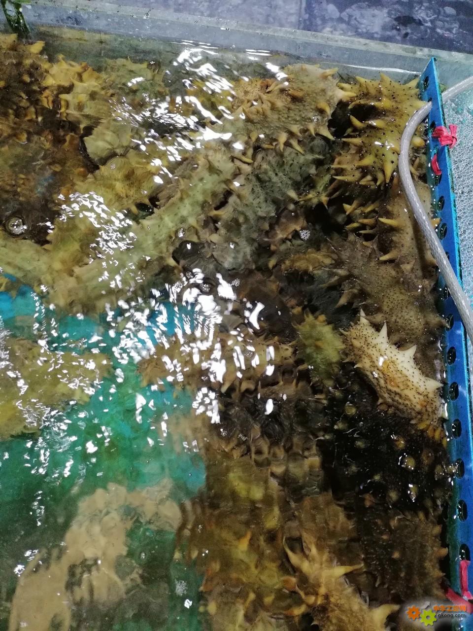 附件 IMG_20251214_135551.jpg