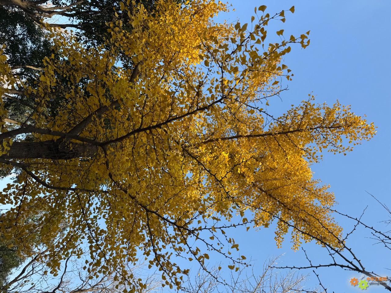 附件 微信图片_20251116152942_3820_7.jpg