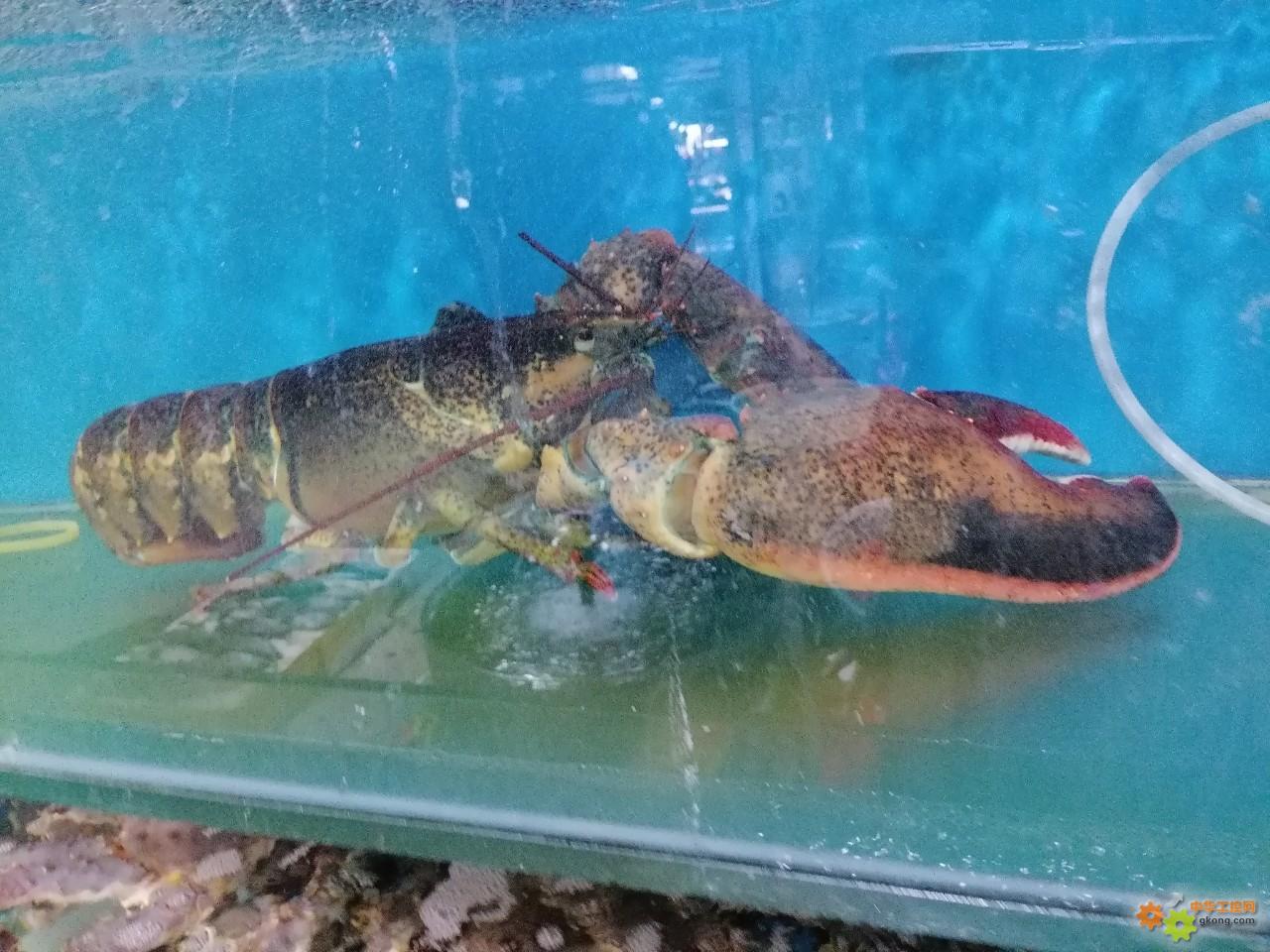 附件 IMG_20251214_135619.jpg