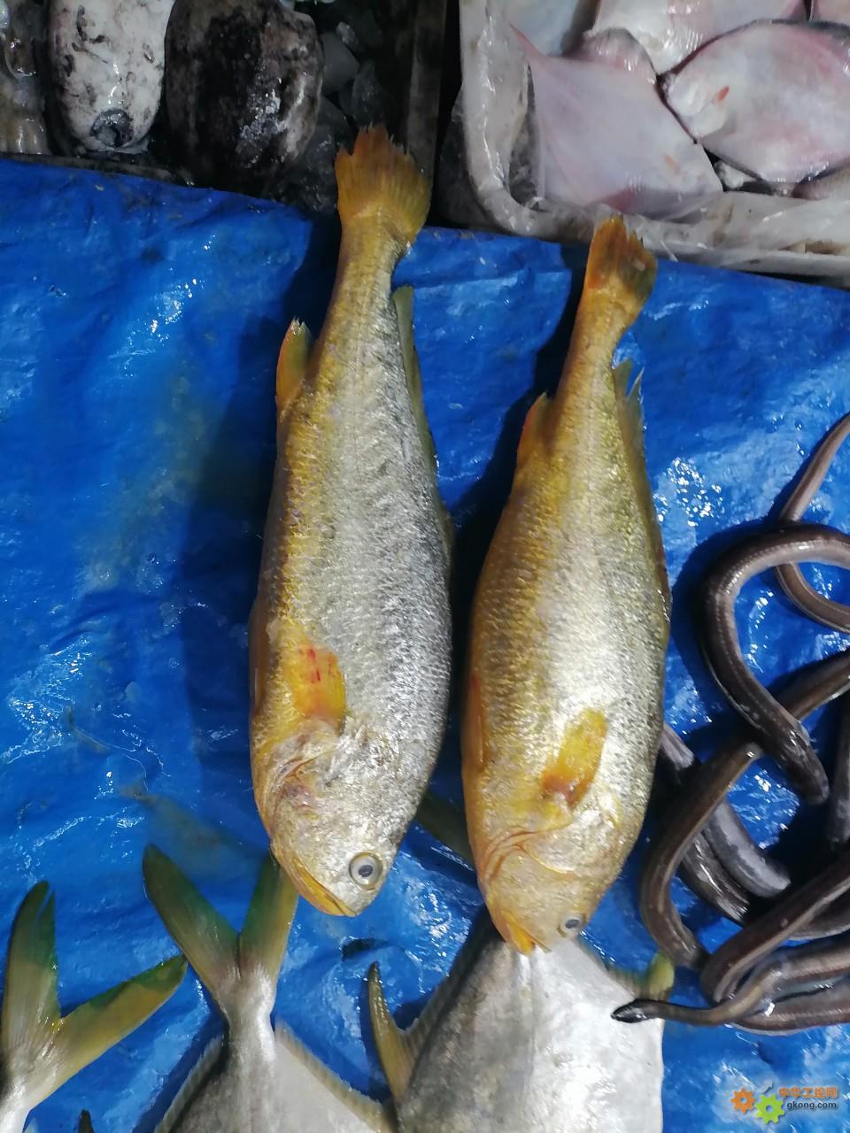 附件 IMG_20251214_134812.jpg