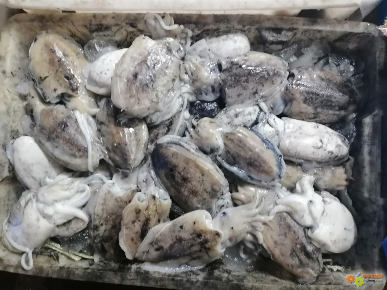 附件 IMG_20251214_134819.jpg