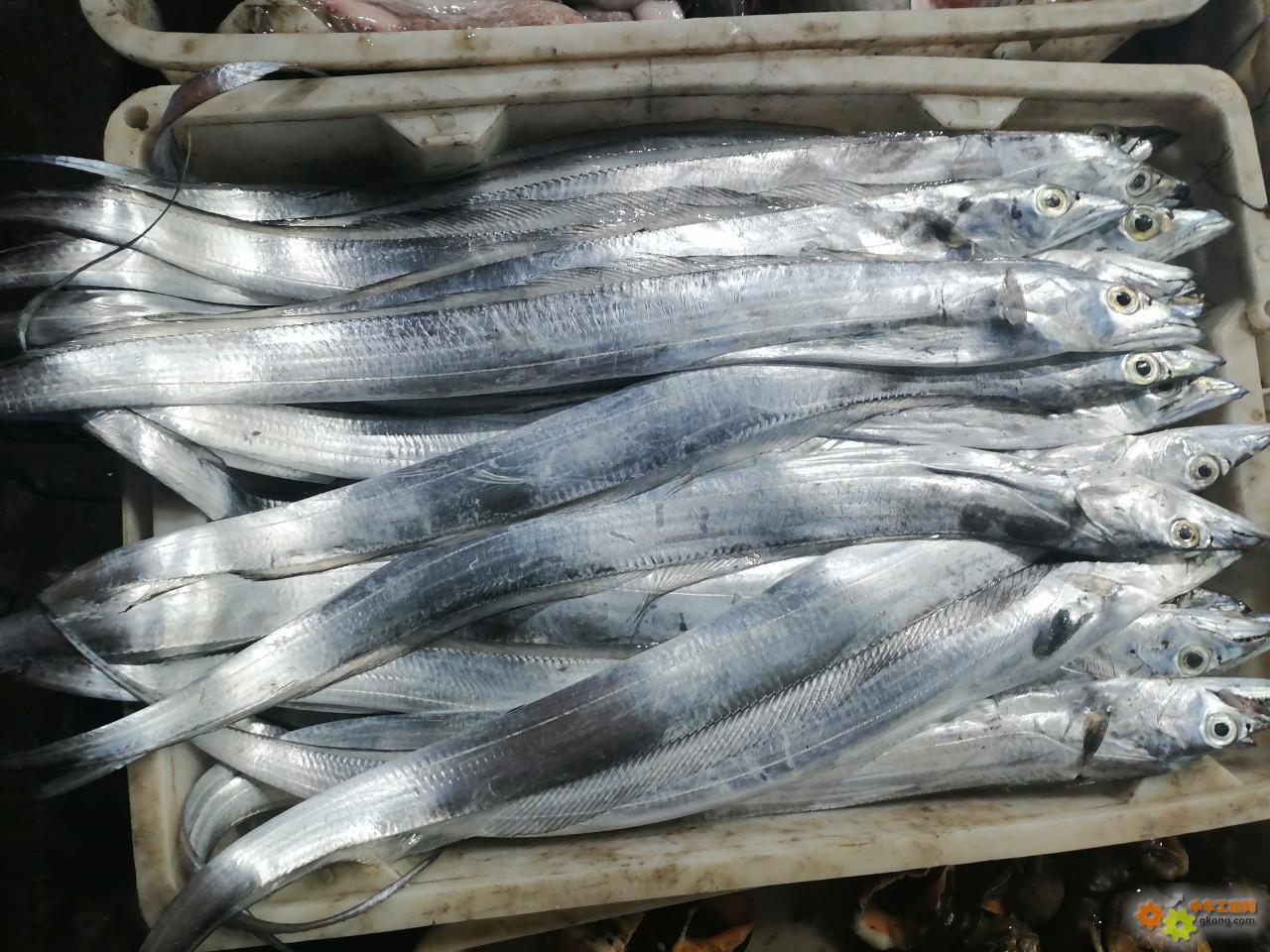 附件 IMG_20251214_134827.jpg