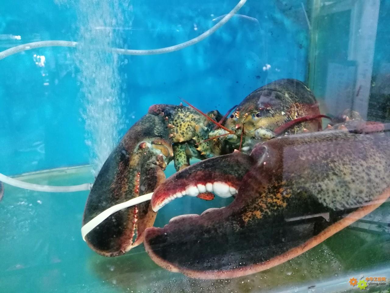 附件 IMG_20251214_135616_1.jpg