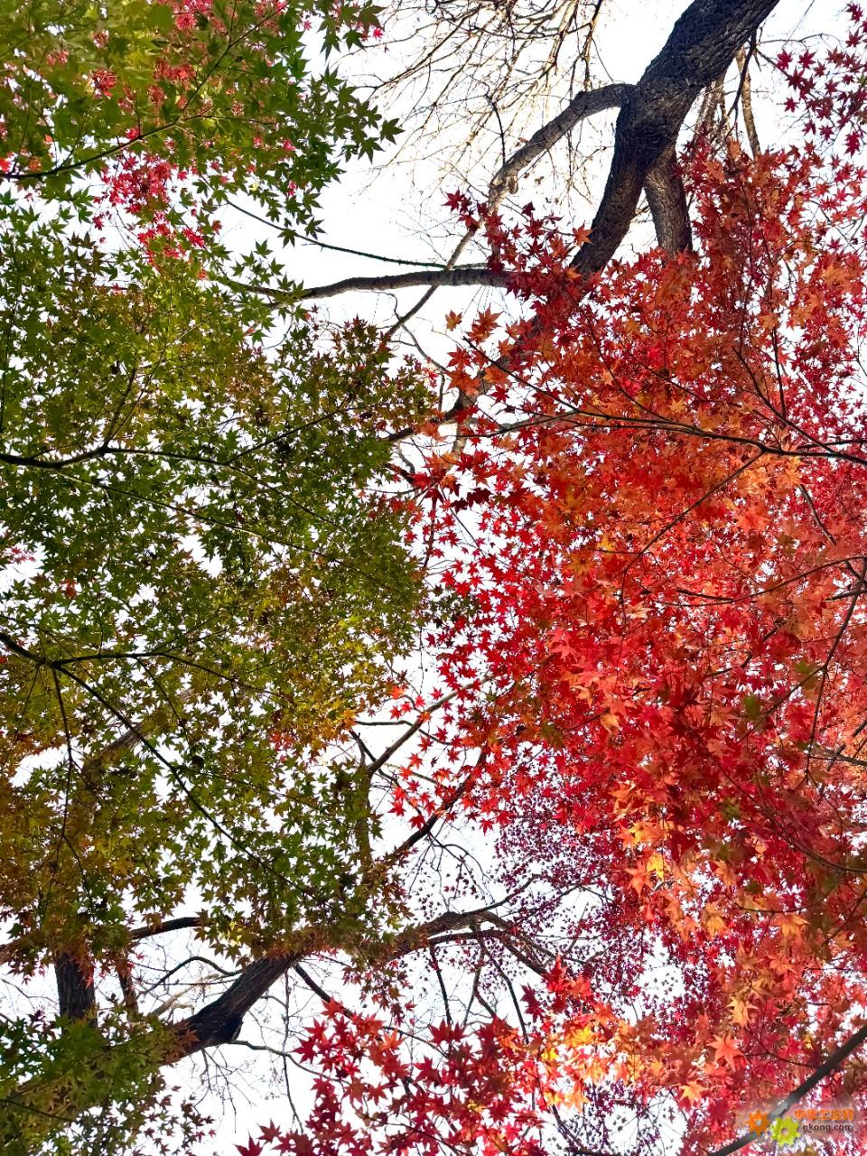 附件 微信图片_20251116160413_3821_7.jpg