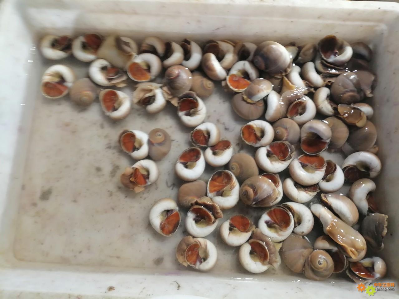 附件 IMG_20251214_134822.jpg