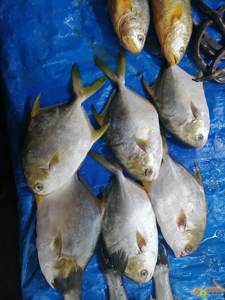 附件 IMG_20251214_134811.jpg