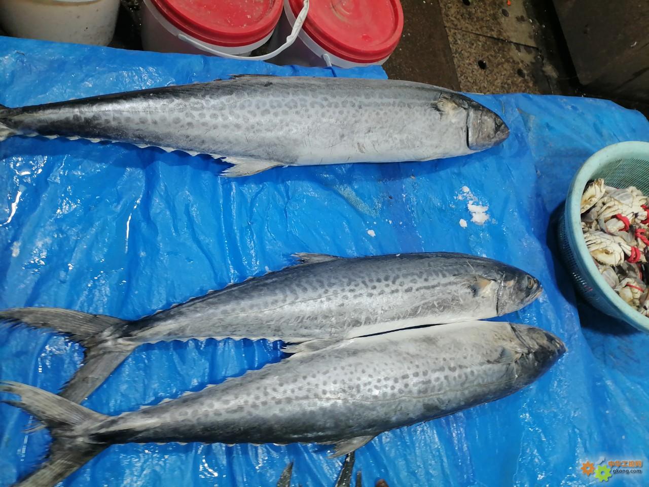 附件 IMG_20251214_134842.jpg