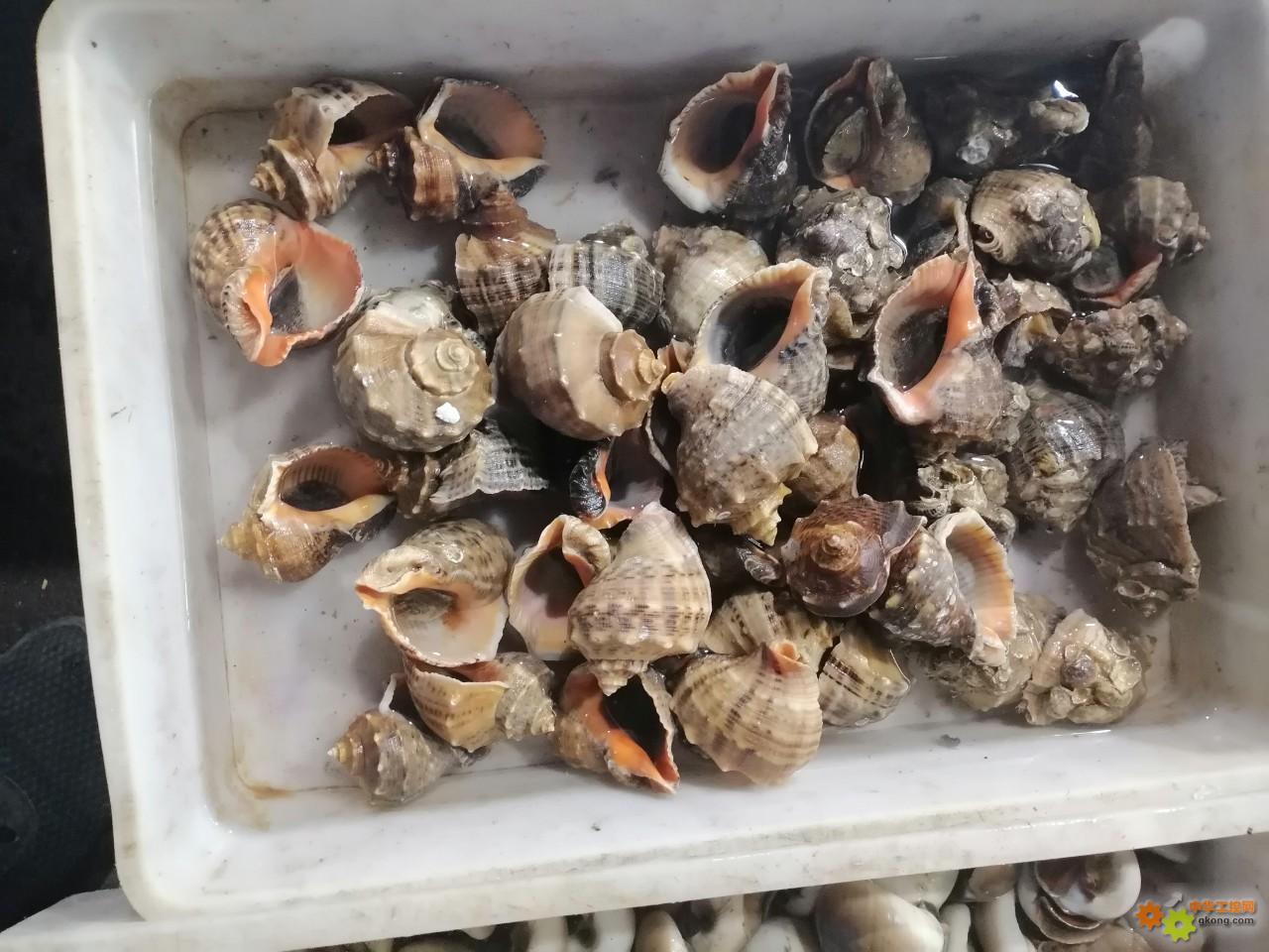 附件 IMG_20251214_134825.jpg