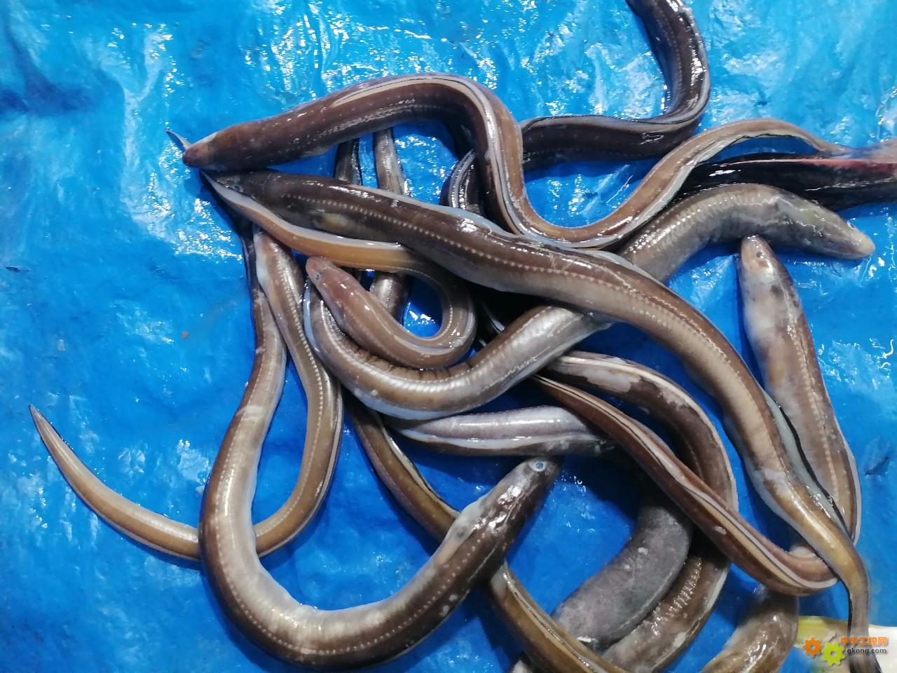 附件 IMG_20251214_134817.jpg