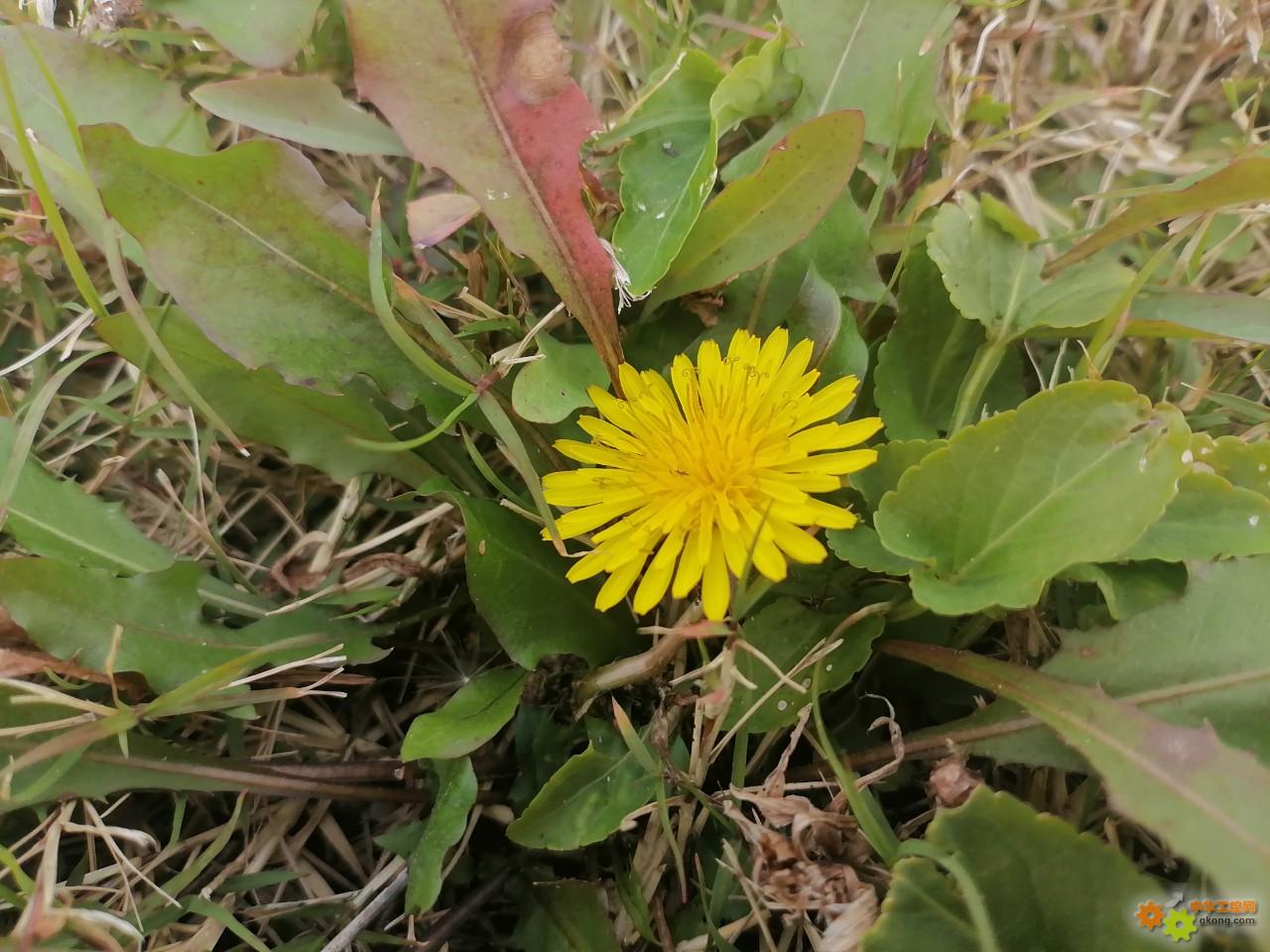 附件 IMG_20251107_100856_1.jpg