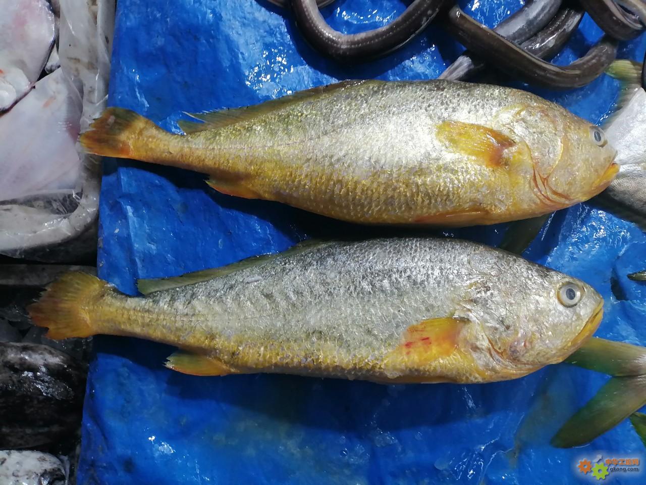 附件 IMG_20251214_134818.jpg