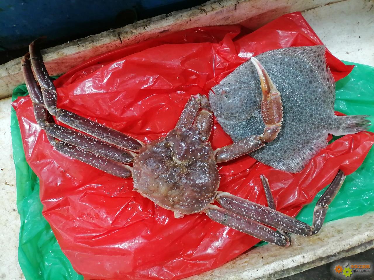 附件 IMG_20251214_135311_1.jpg