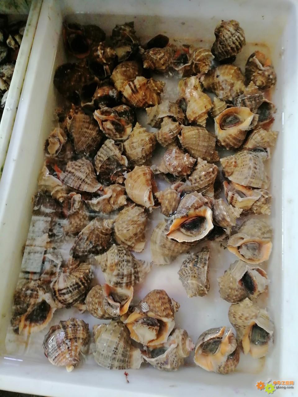 附件 IMG_20251214_135415.jpg