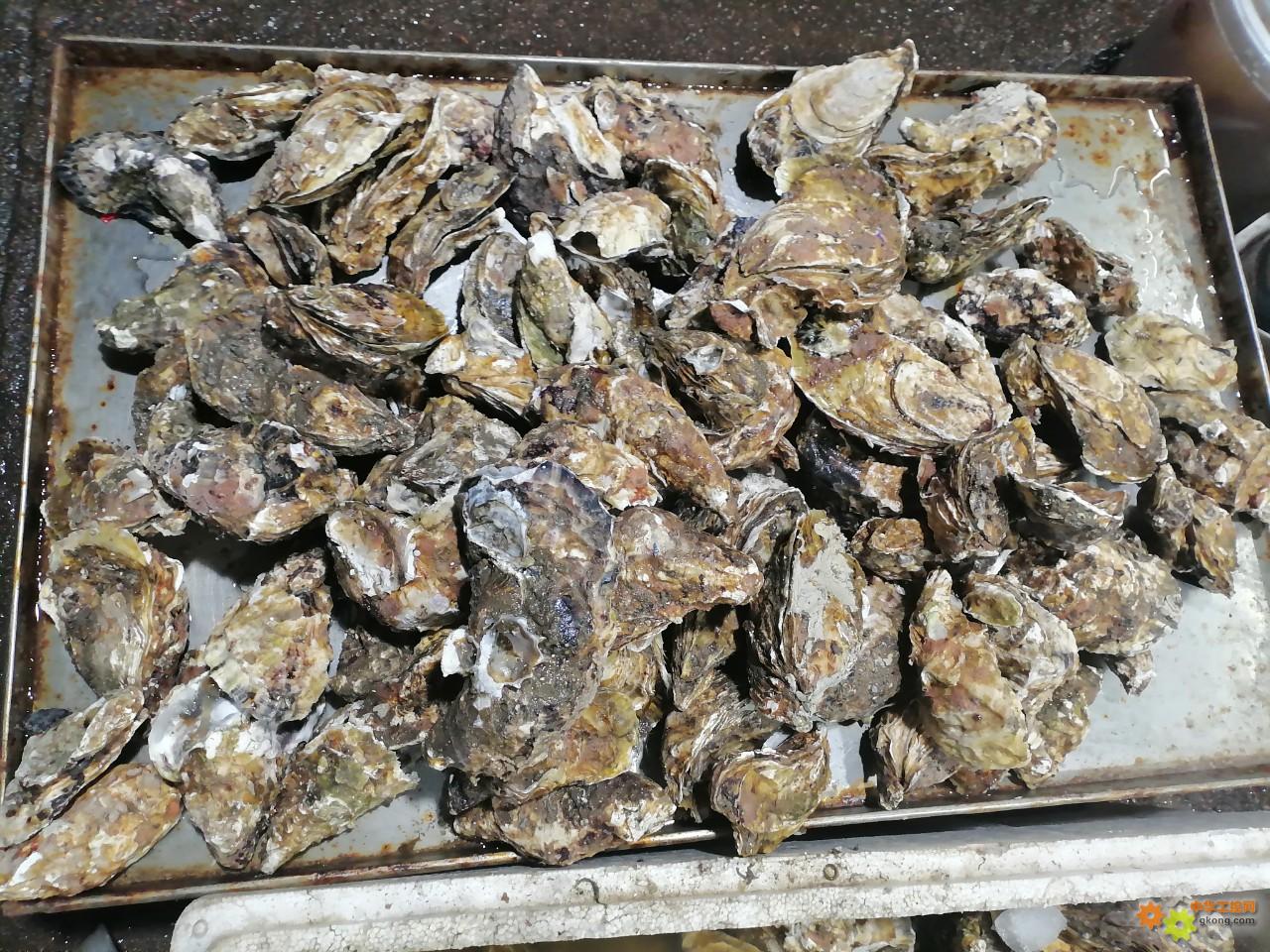 附件 IMG_20251214_134831.jpg