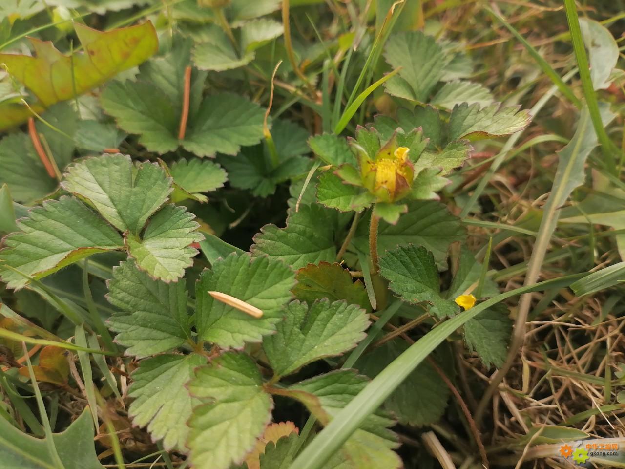 附件 IMG_20251107_100542.jpg