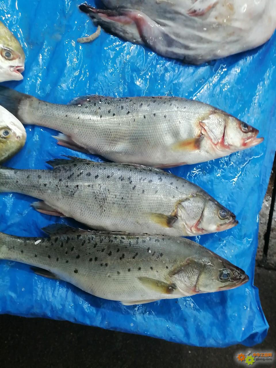 附件 IMG_20251214_134809.jpg