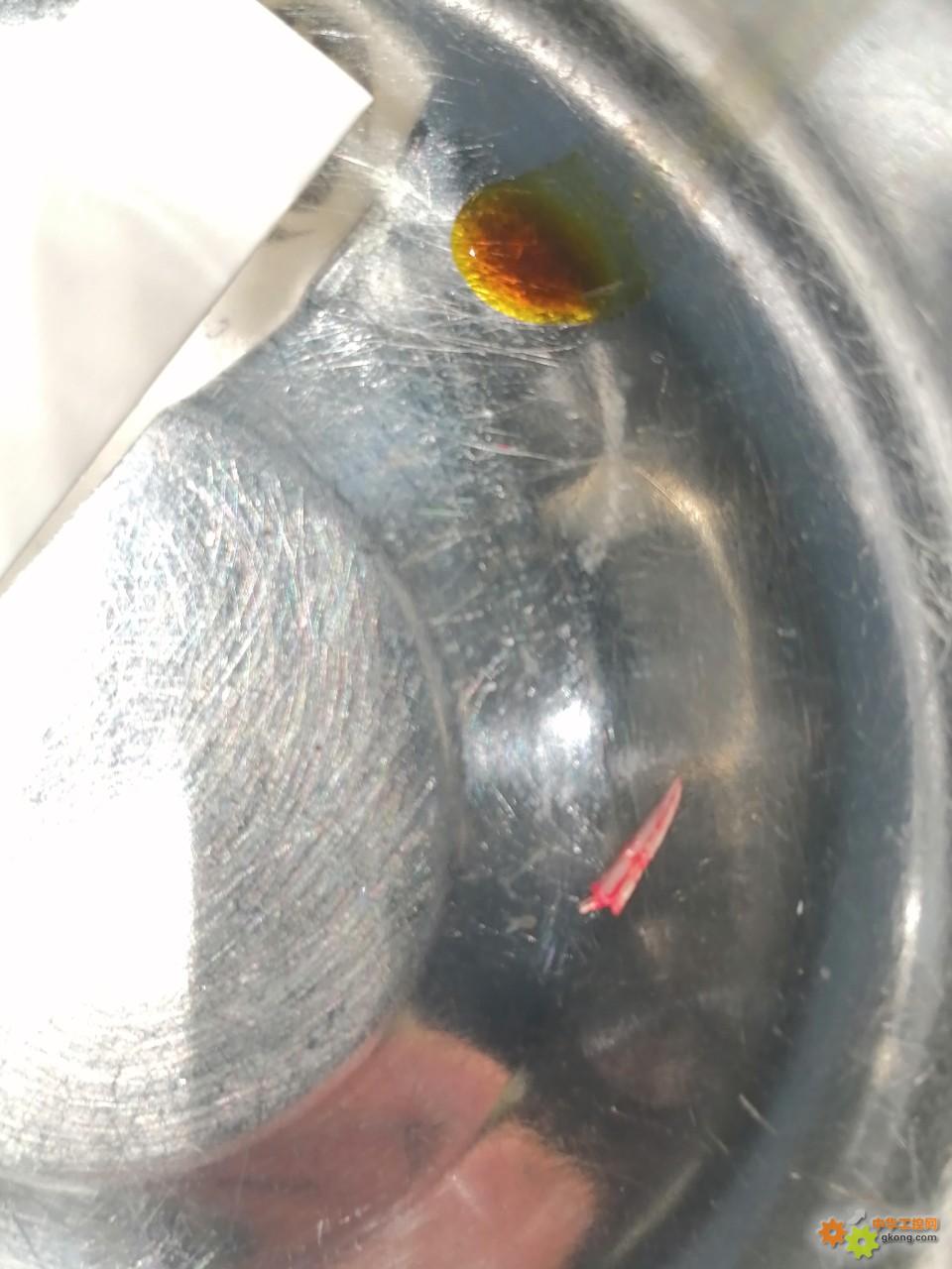 附件 IMG_20251108_175130.jpg