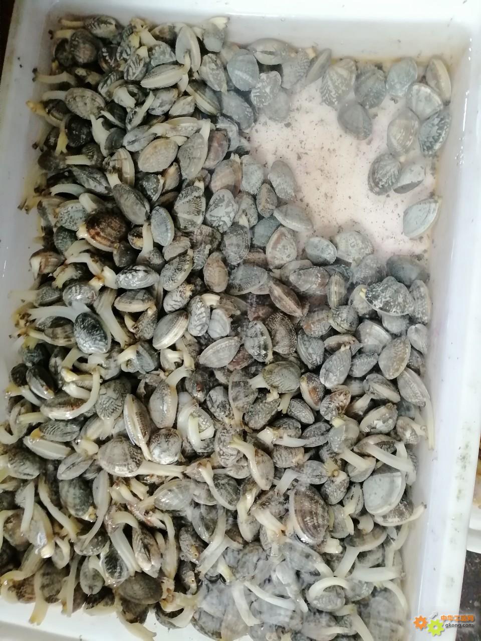 附件 IMG_20251214_135421.jpg