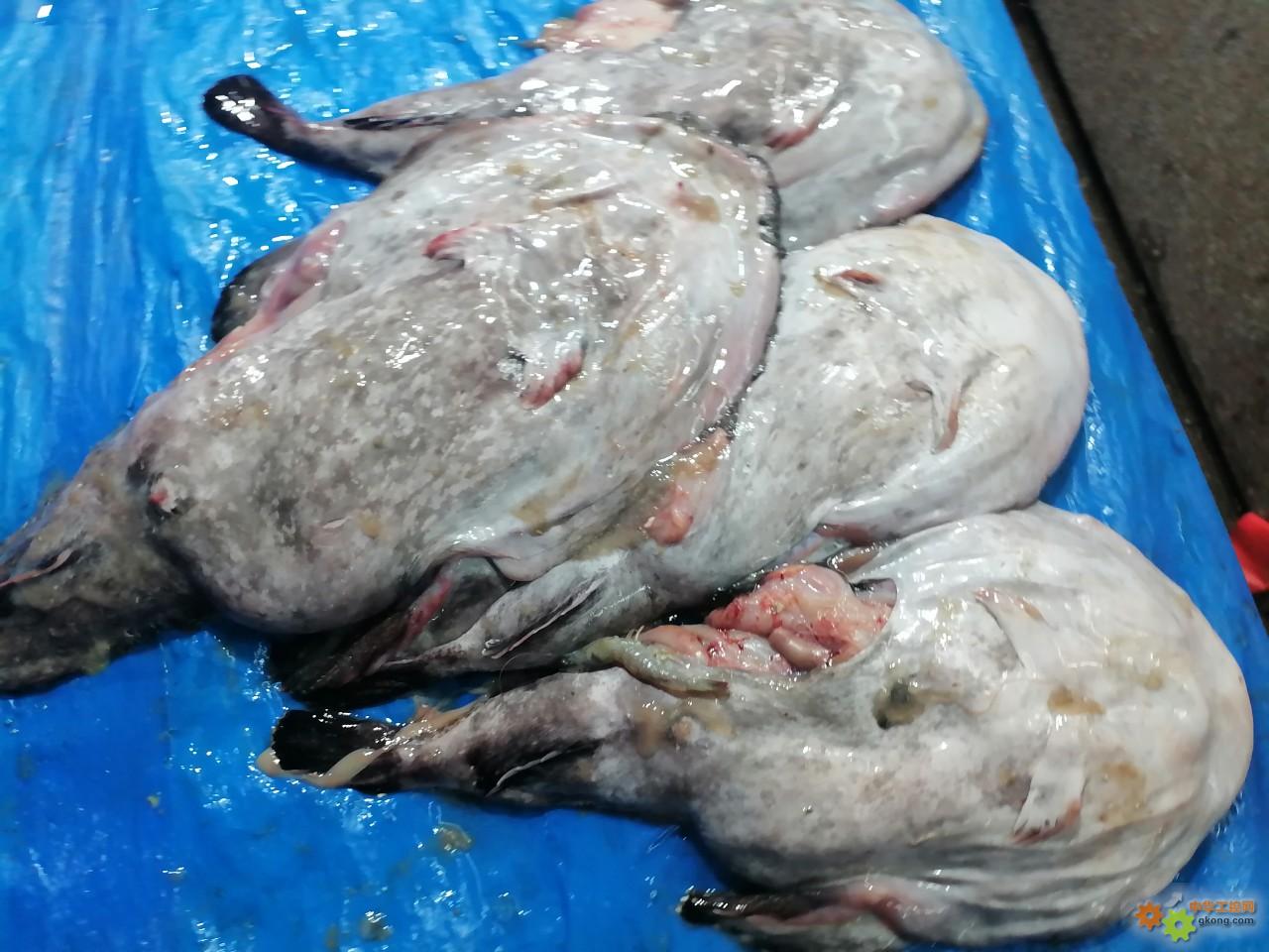 附件 IMG_20251214_134805.jpg