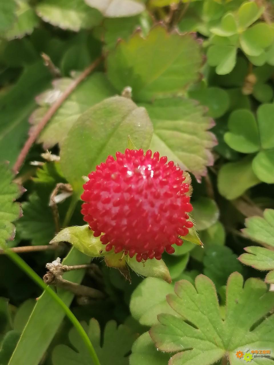 附件 IMG_20251107_100452.jpg