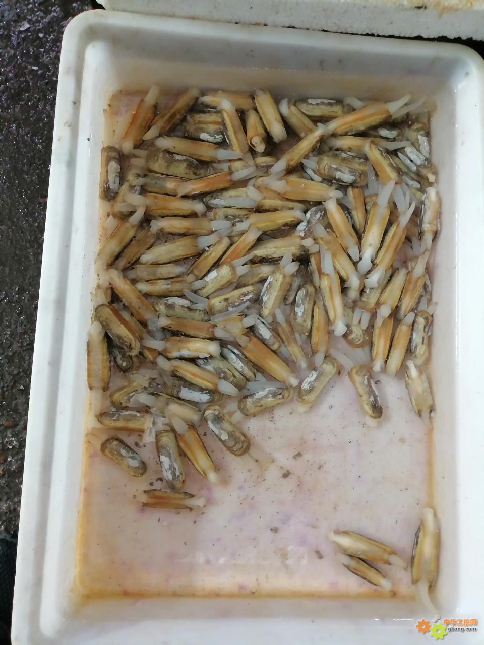 附件 IMG_20251214_135418.jpg