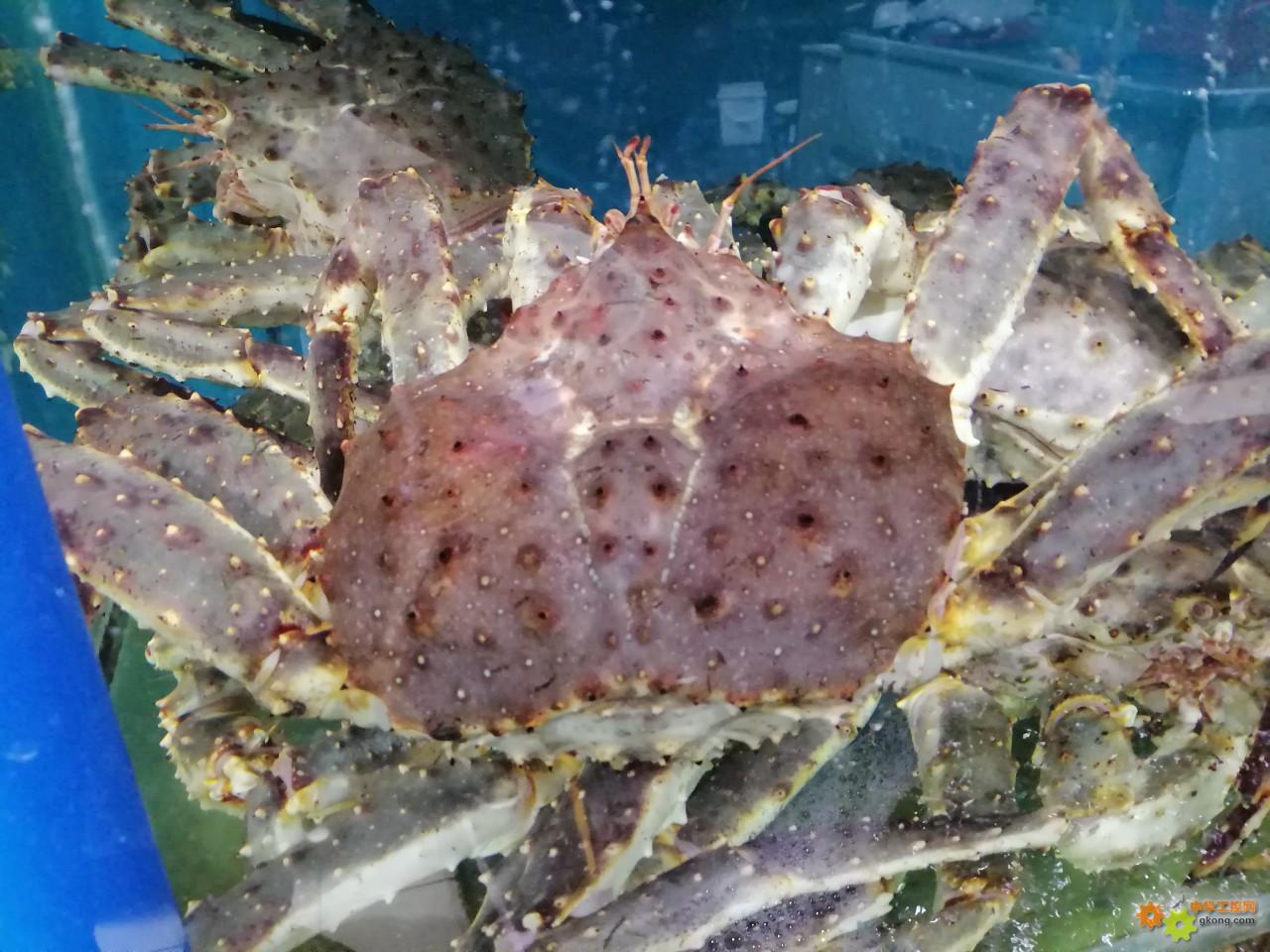 附件 IMG_20251214_135559.jpg