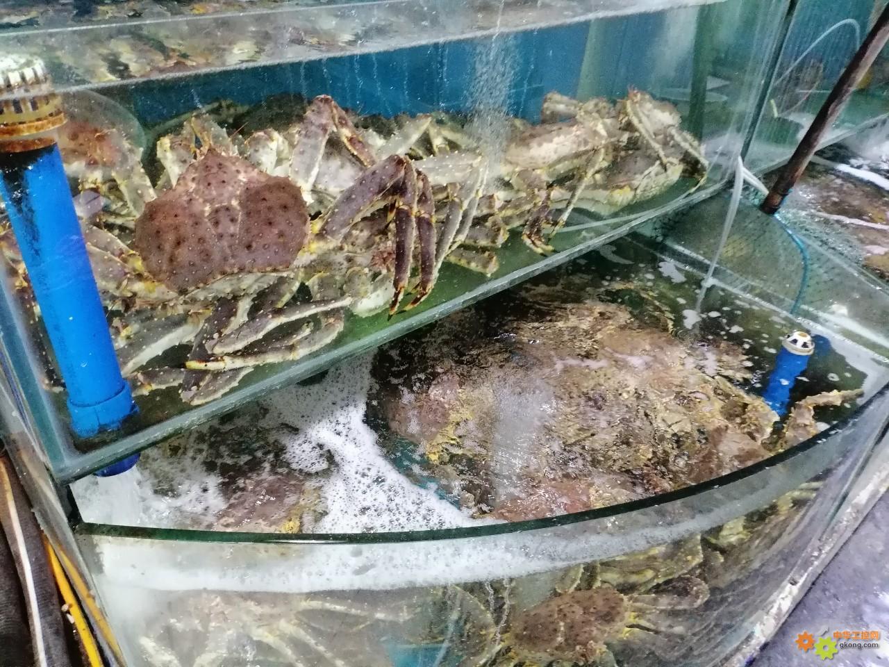 附件 IMG_20251214_135606_1.jpg