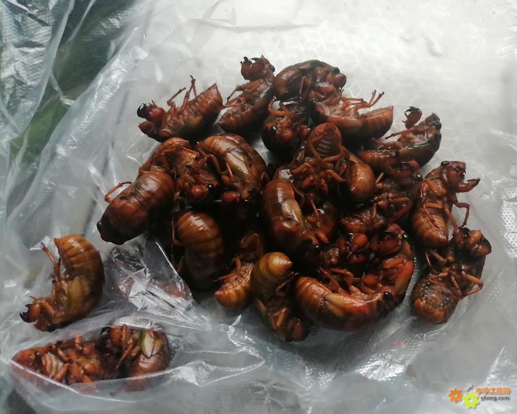 附件 搜狗高速浏览器截图20260712165358.jpg