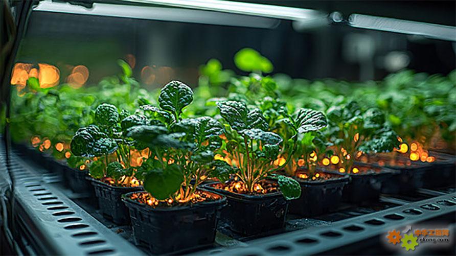 电源管理芯片应用到植物灯上